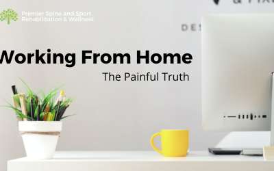 Working From Home: The Painful Truth